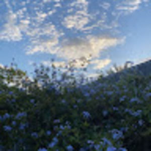 Meet your Posher, Efua